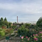るい纏めて購入◎の画像