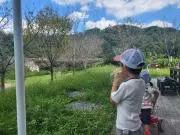 よーぱぱの画像
