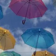 はるの画像