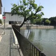 まさ高岳の画像