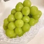 スコフィールド兄の画像