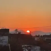 ヨーシーの画像