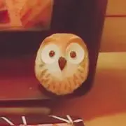 ミカンぢゅーす　プロフ見て（╹◡╹）