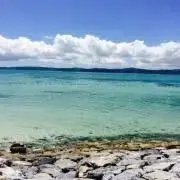 Seaの画像
