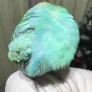 藤乃の画像