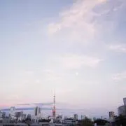 SNPの画像