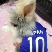 ゆってぃん