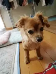 Image of riki
