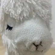 ペコチャンの画像