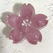 ナナの画像