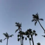 an