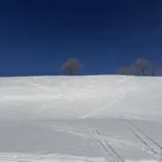 india⁂の画像