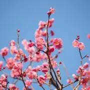 まさおの画像