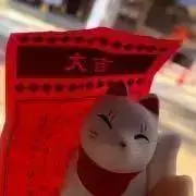 みっきーの画像