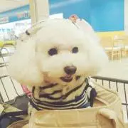 ふかしろ