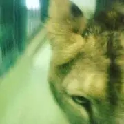 ☆くっしょん☆