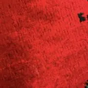 志村フトシ