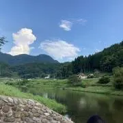 wisteriaの画像