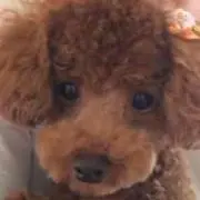 そらくん