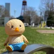 チキチキチキンの画像