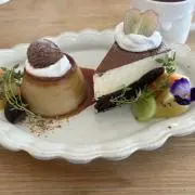 さおちゃんの画像