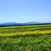 はっぴりん❤️500円以下多数の画像