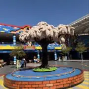 りんごの画像