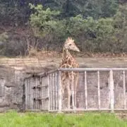 OMTの画像