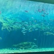土日発送の画像