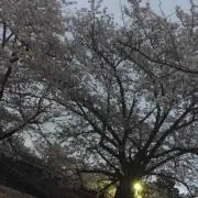 たくち