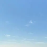 もちの画像