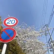 りなみの画像
