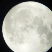 タクミ