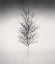 ムーア