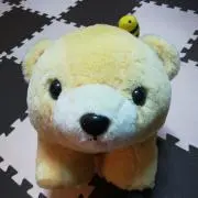 きよぴー即購入OKの画像