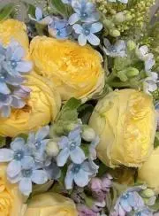 SA39の画像
