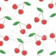 マコ
