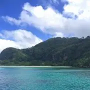 Saの画像