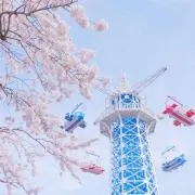 Natyの画像