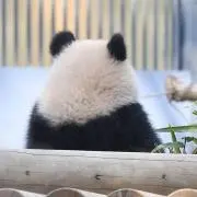 ユナ