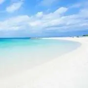 はろはろ