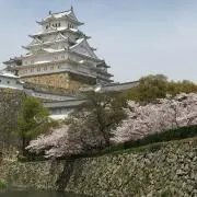 マー君の画像