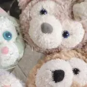 なっちゃんの画像