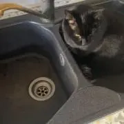 Omi　◎のご一読お願いいたしますの画像