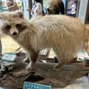 まちの画像