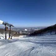 miiの画像