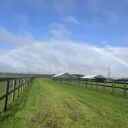りの画像