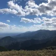 もいぺおの画像
