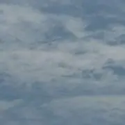 koo