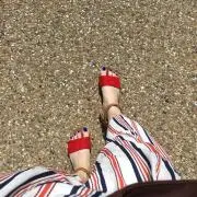 しばの画像